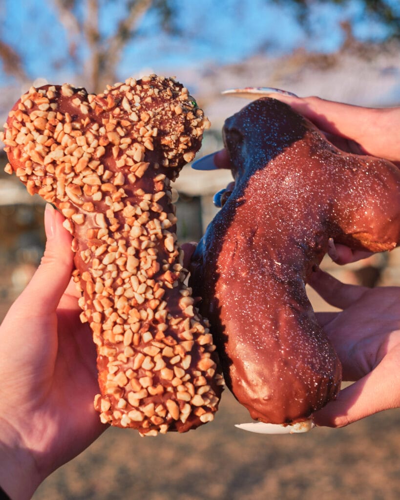 two phallic shaped chocolate donuts.