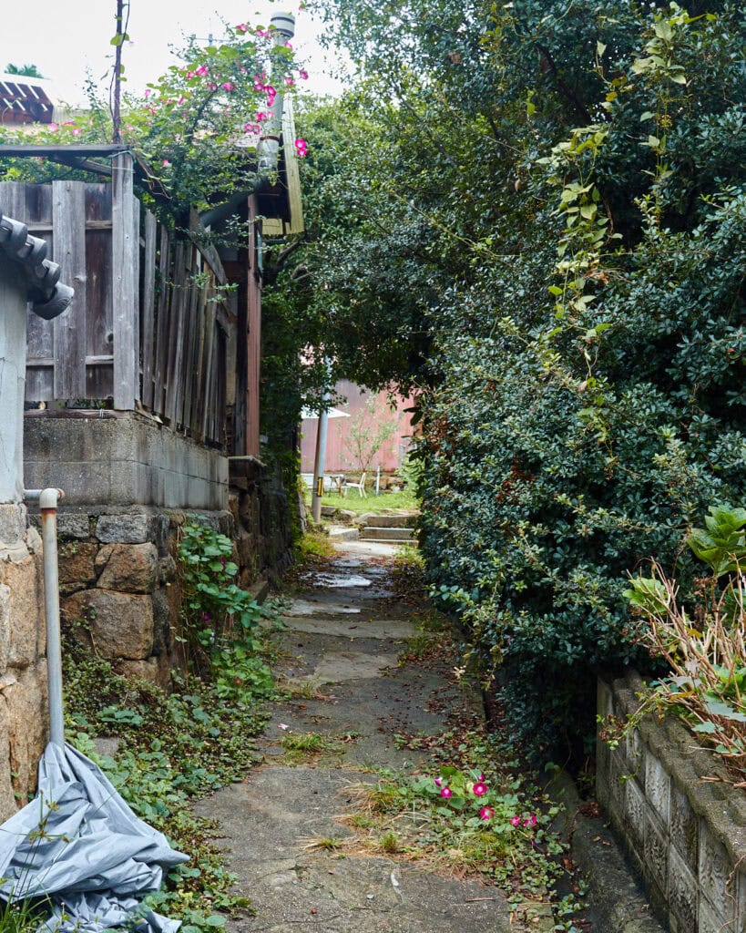 Tree tunnel leading to an old Japanese house