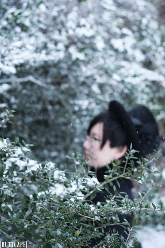 Snow covered branch with person behind it.