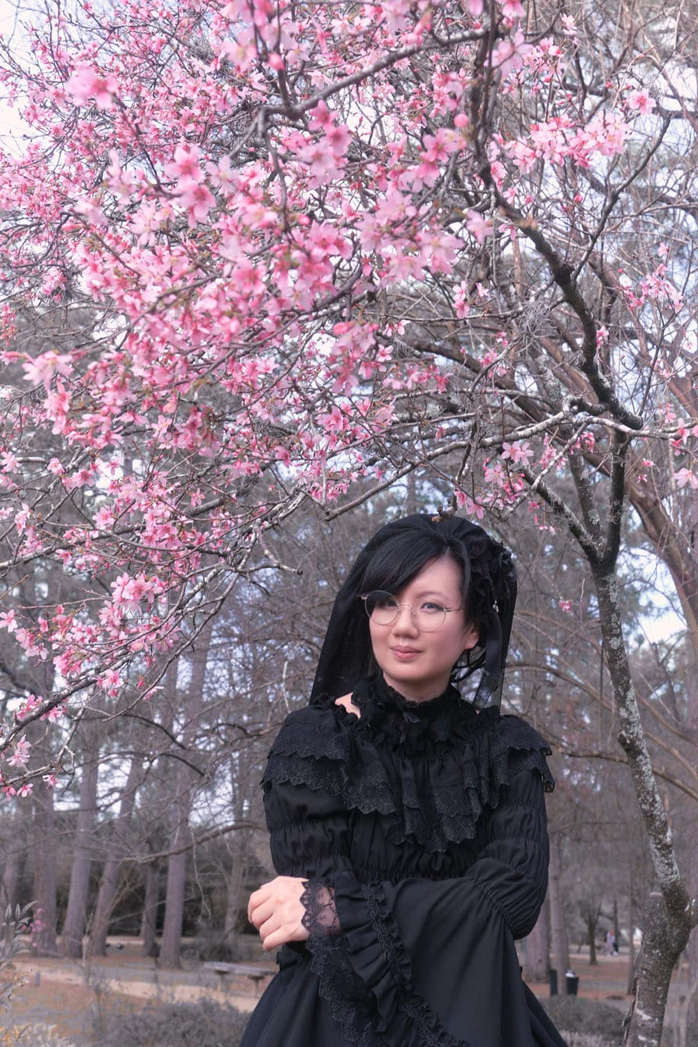 Gothic lolita standing underneath cherry blossom tree with one hand holding opposite arm.