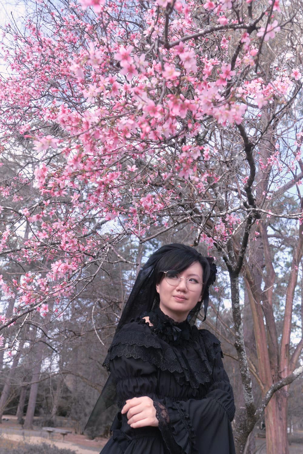 Gothic lolita standing underneath cherry blossom tree with one hand holding opposite arm - 2.