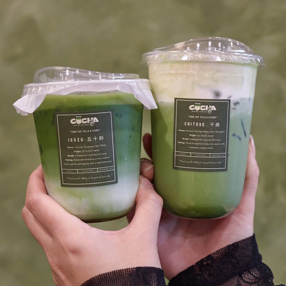 Where to Find the Best Matcha Tea in Houston, Texas