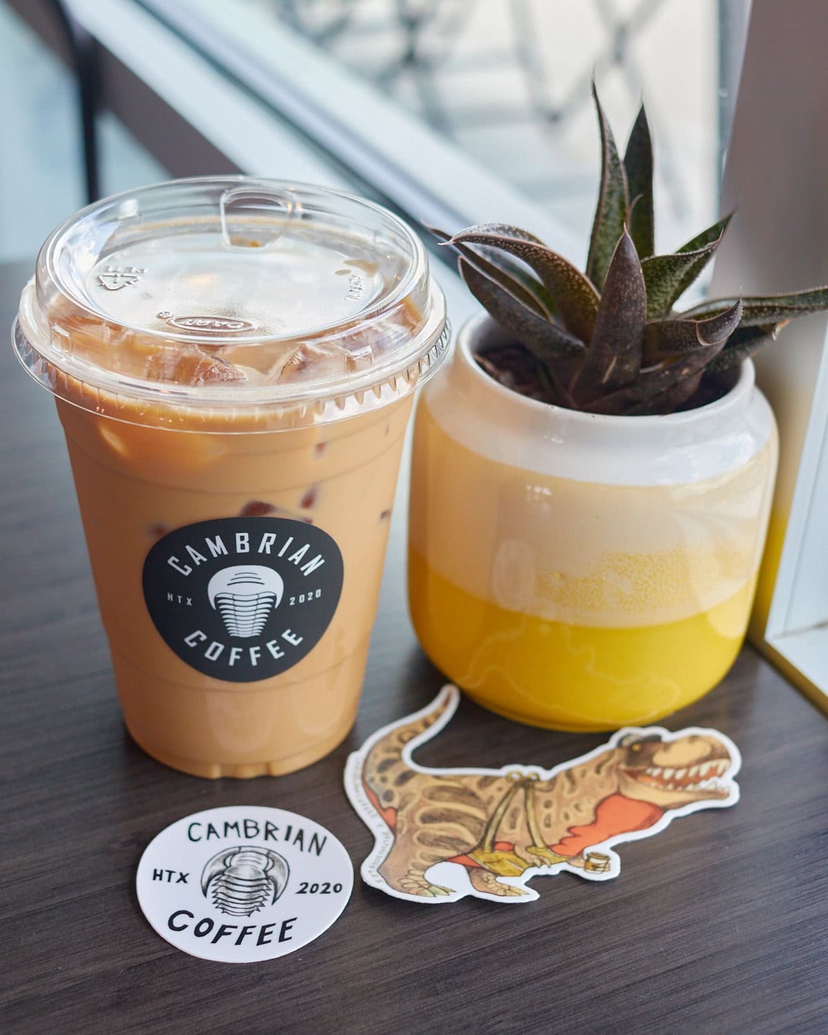 An iced Latte in a plastic cup on a table next to a small succulent in a yellow pot. On the table there is a dinosaur holding a sausage roll sticker and the Cambrian Coffee logo sticker. 
